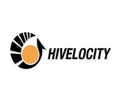 HIVELOCITY logo