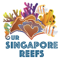 Our Singapore Reefs logo