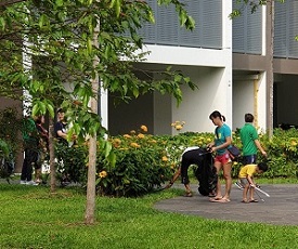 Keeping their neighbourhood clean